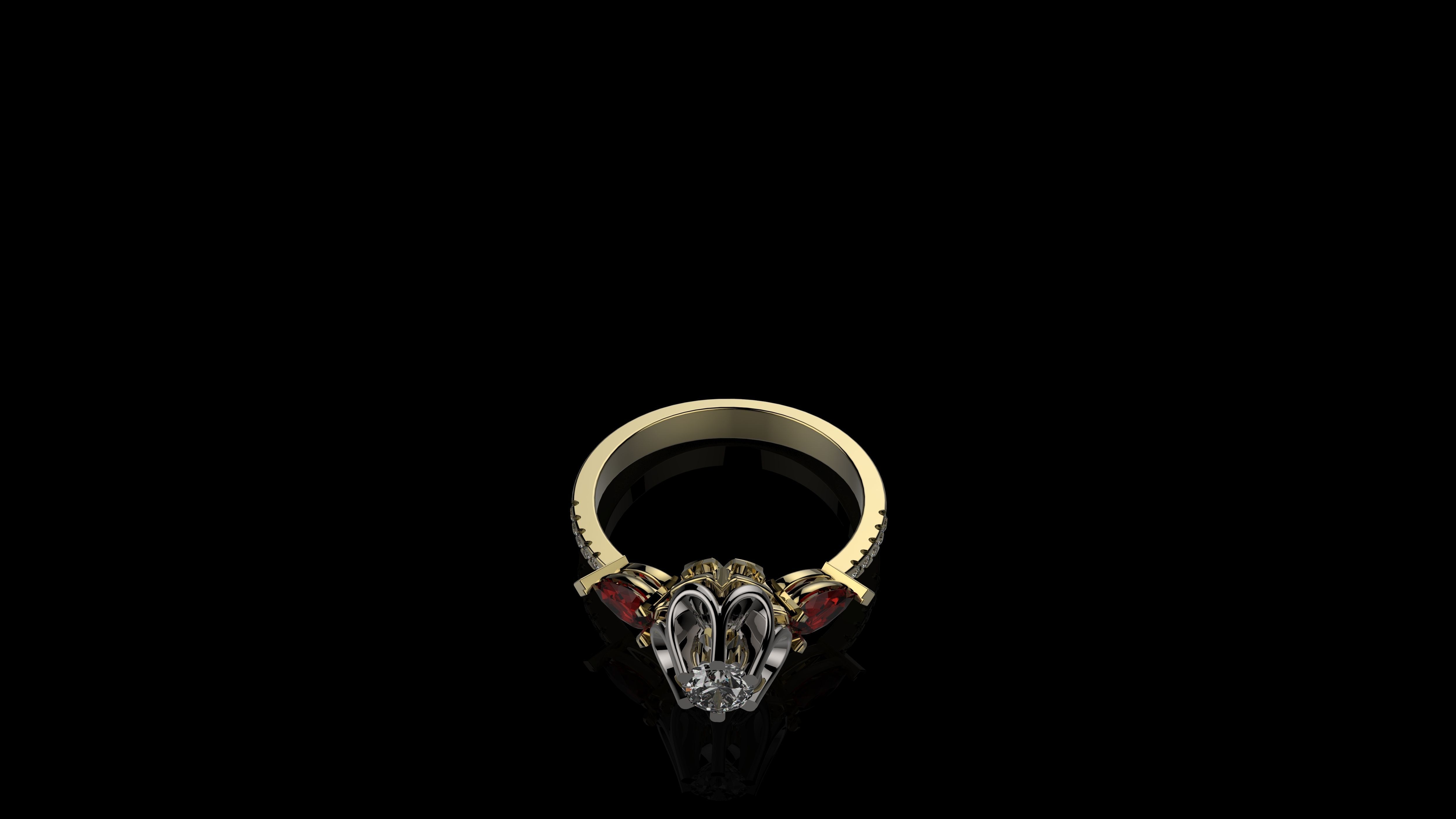 A RINGS N19 3D print model_3