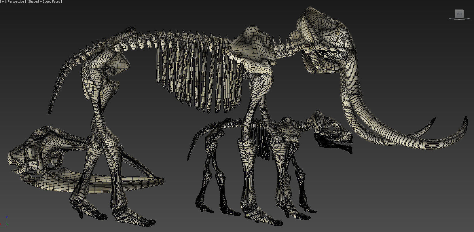 Animal sceletons 3D model_5