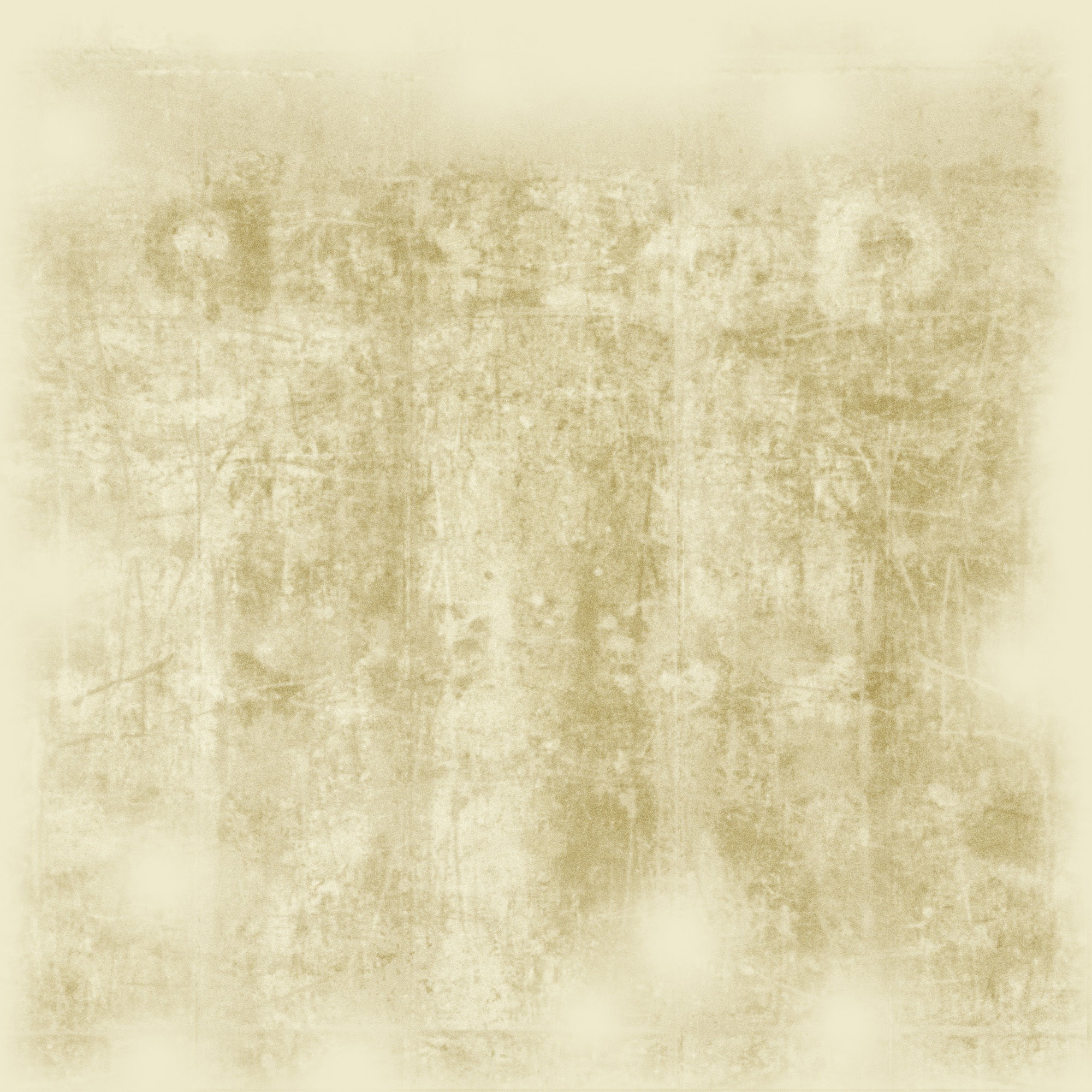 Animal sceletons 3D model_6