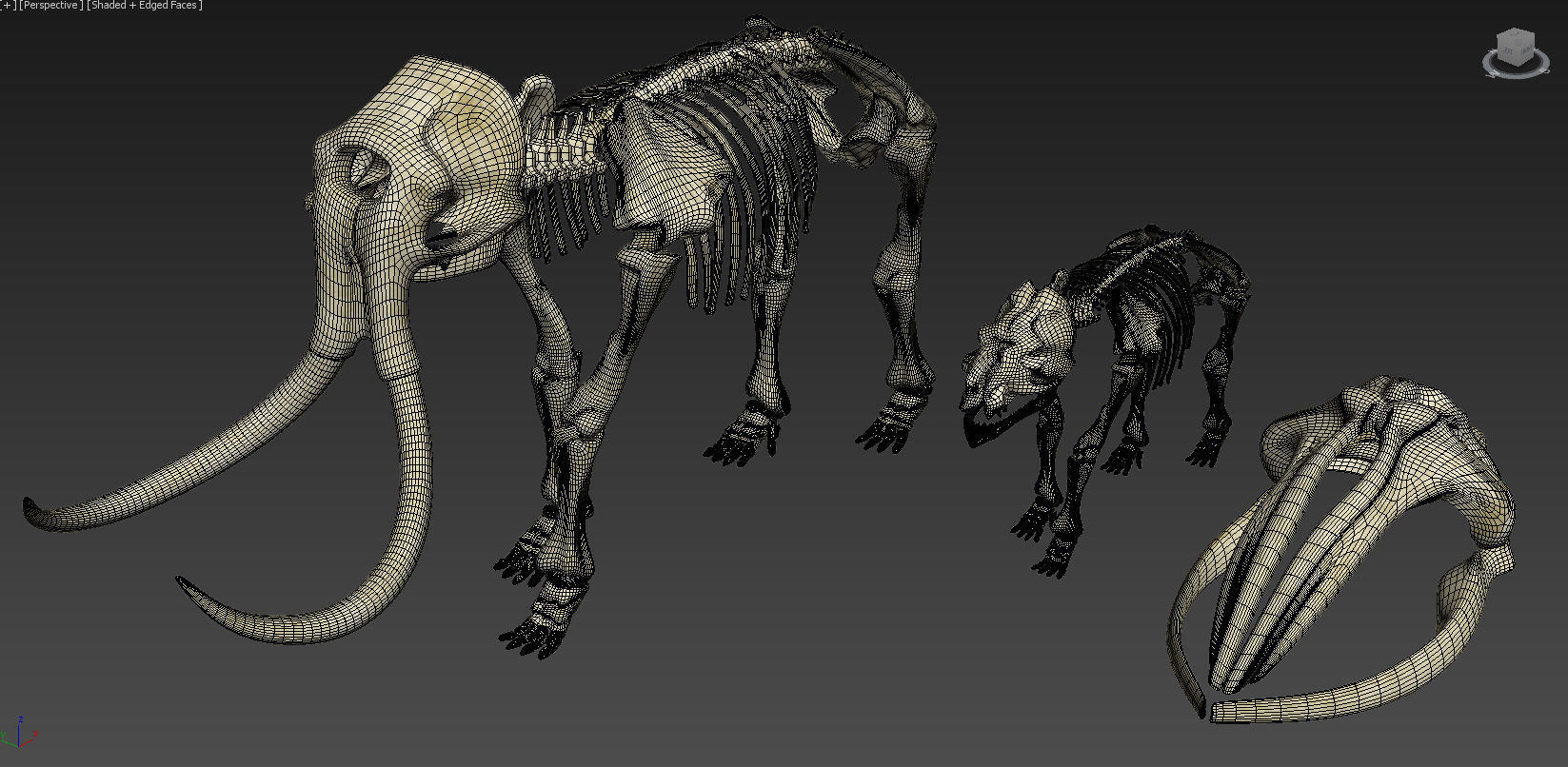 Animal sceletons 3D model_4