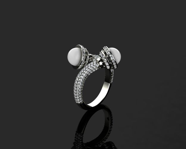 A RINGS N10 3D print model