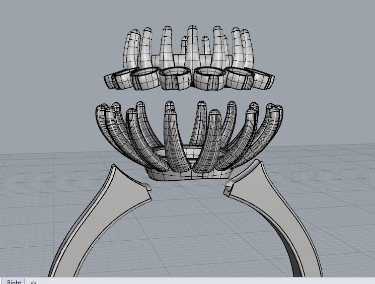 A RINGS N24 3D print model_5