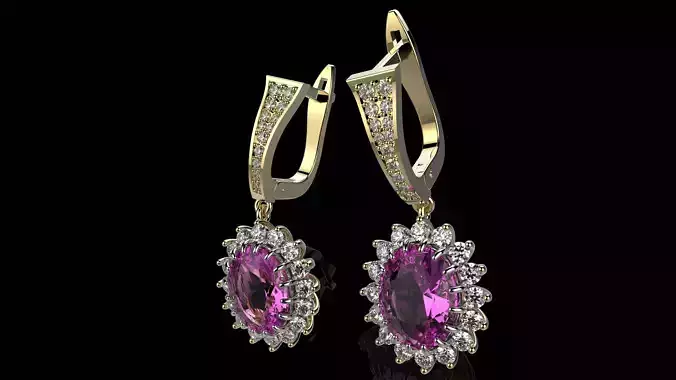 A EARRINGS N24