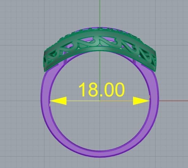 A RINGS N 31 3D print model_10