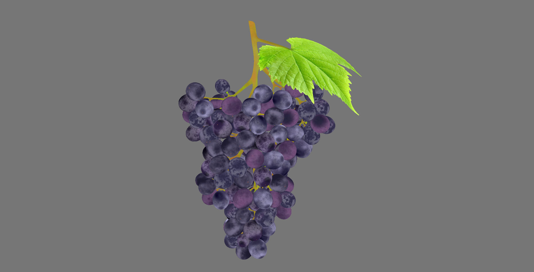 Grape grapes 3D model_4