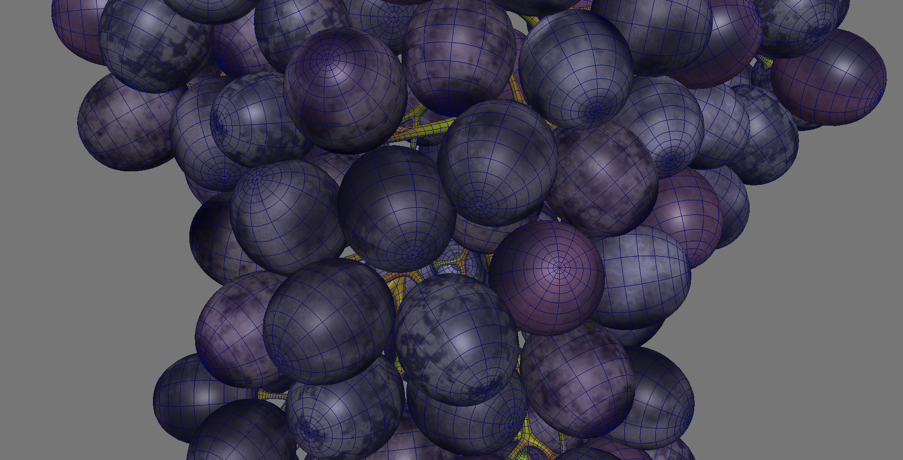 Grape grapes 3D model_15