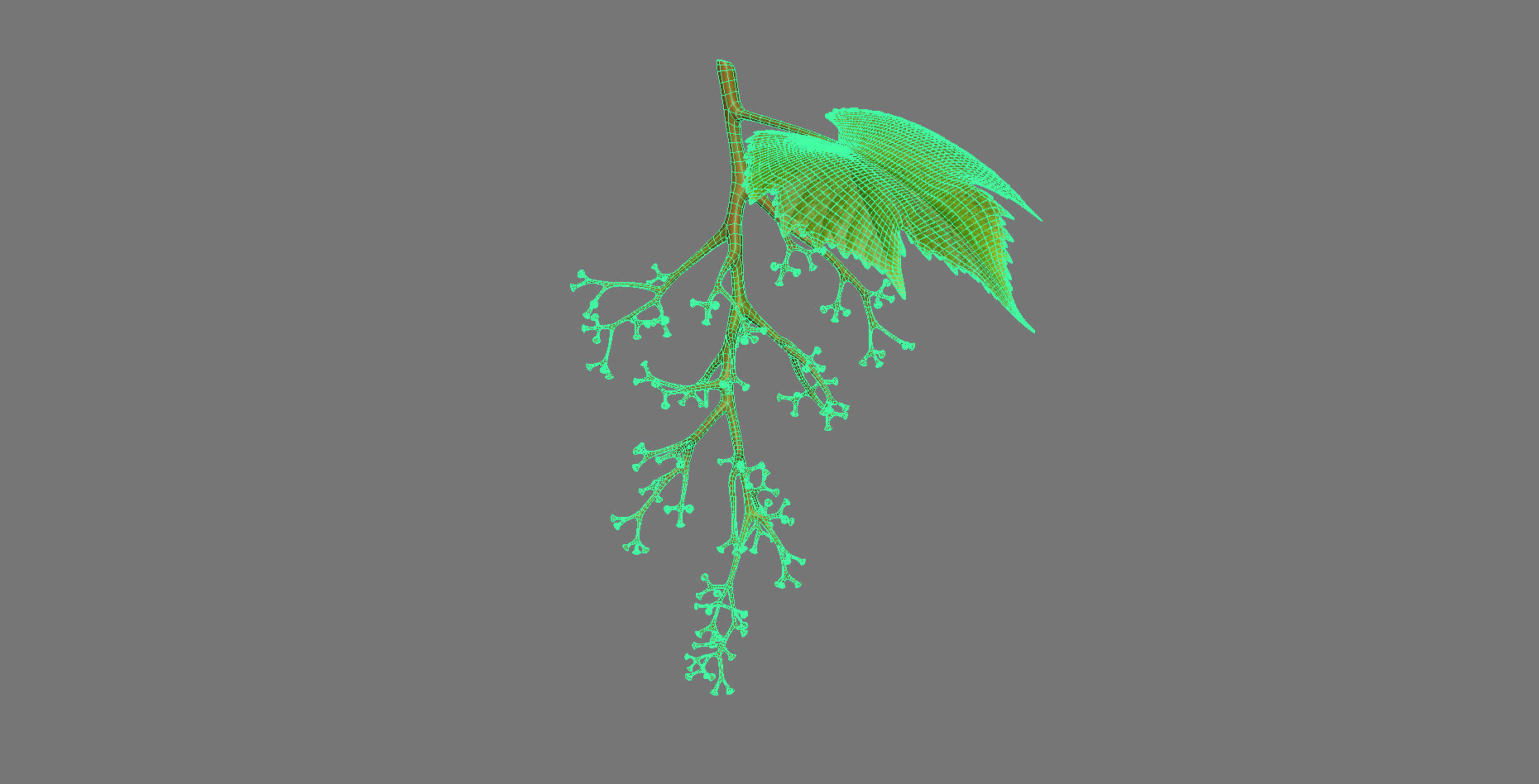 Grape grapes 3D model_6