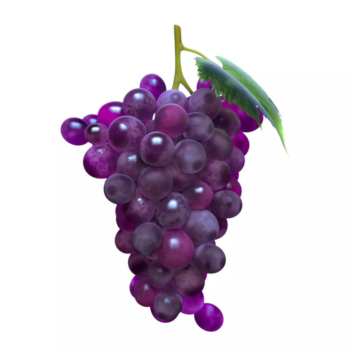Grape grapes 3D model_0