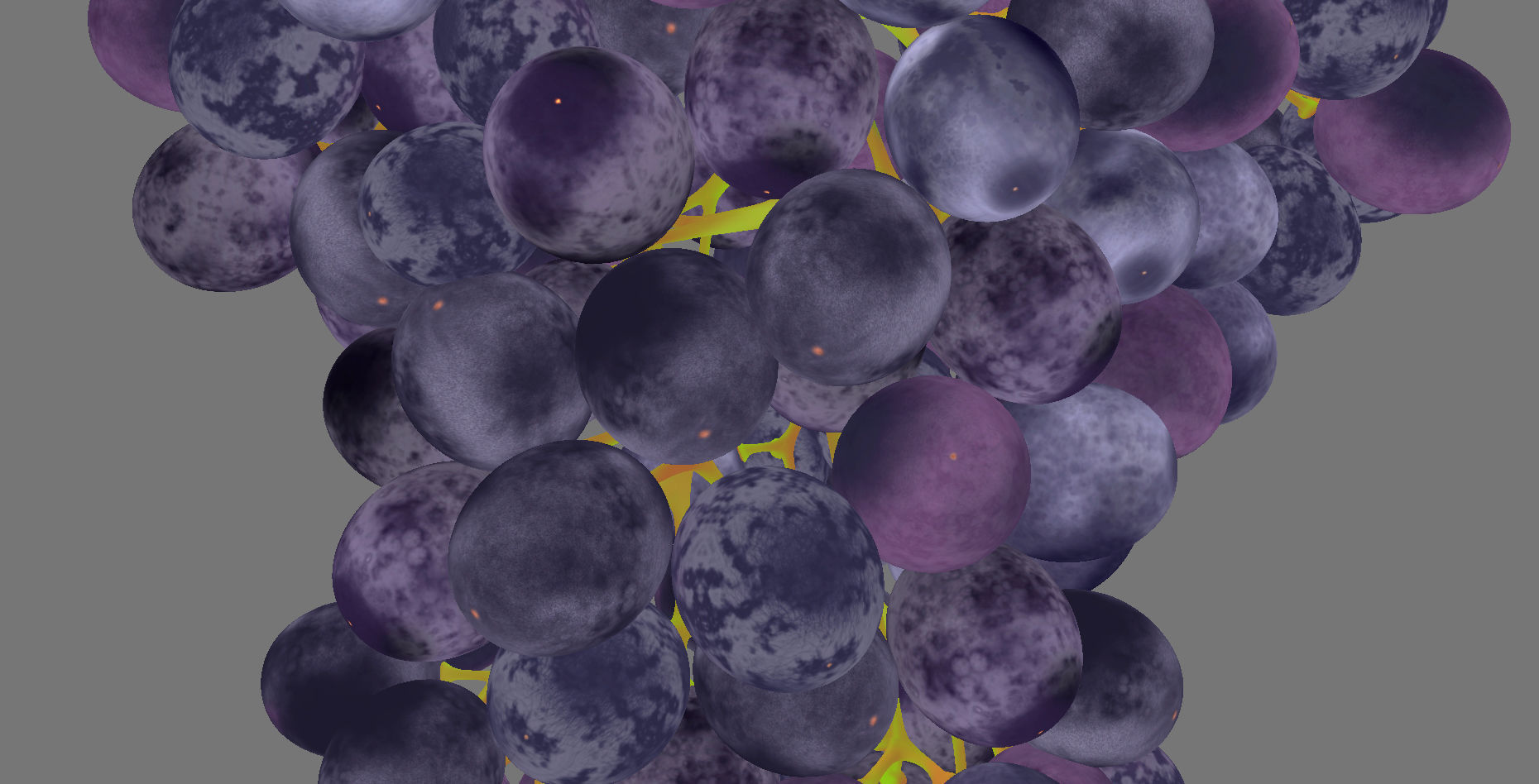 Grape grapes 3D model_14