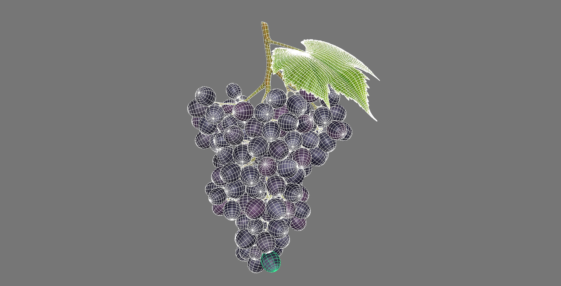 Grape grapes 3D model_2