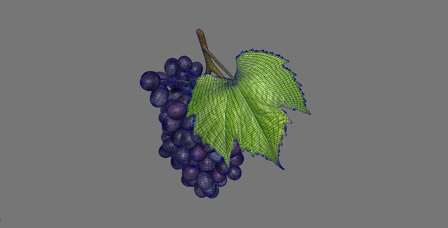 Grape grapes 3D model_10