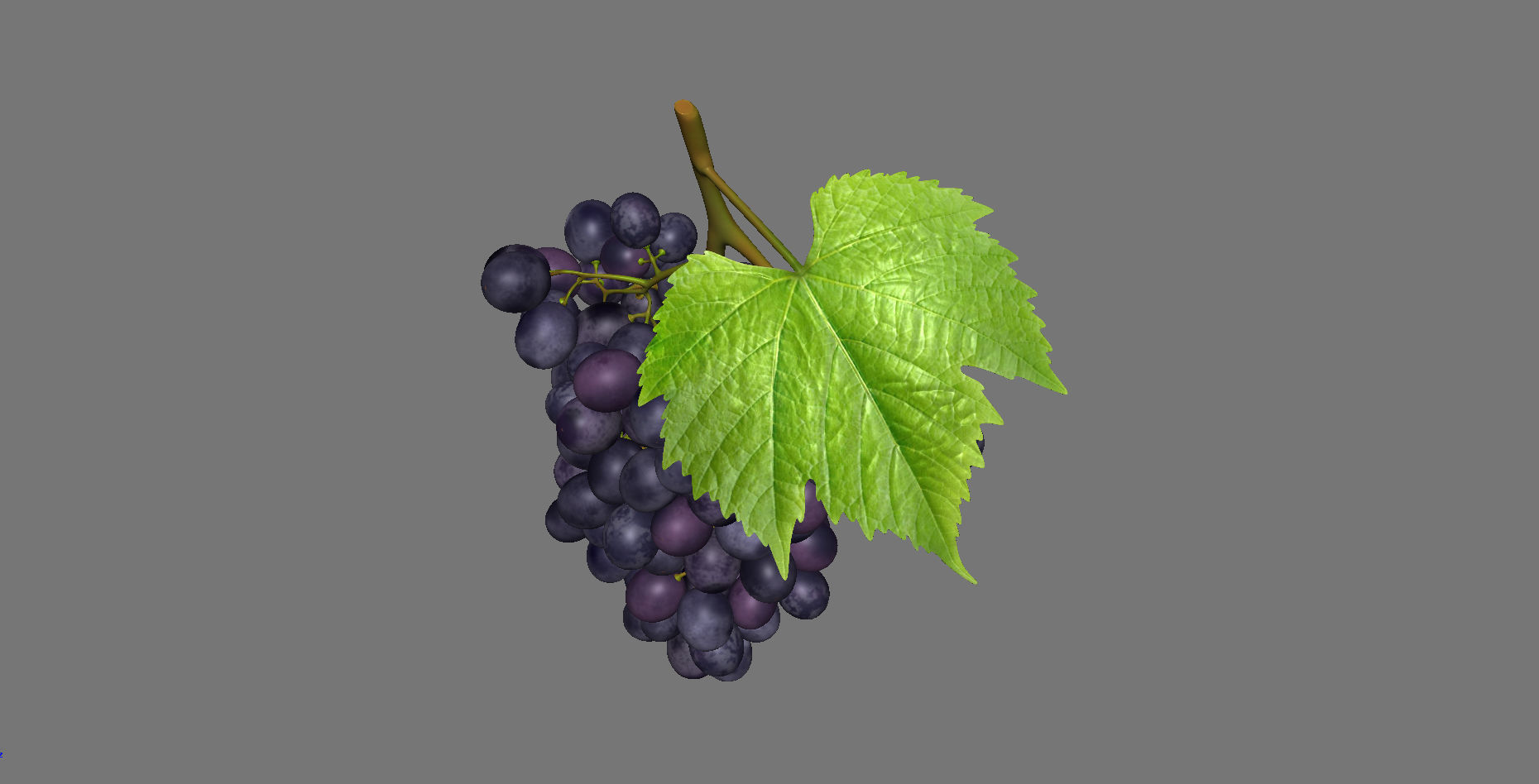 Grape grapes 3D model_9
