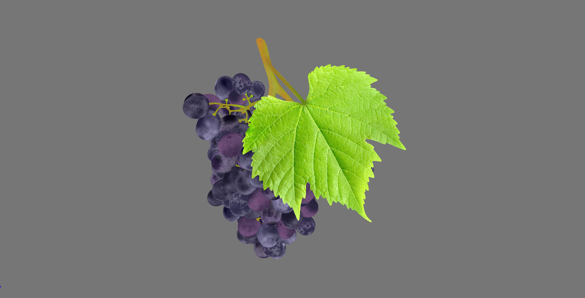 Grape grapes 3D model_11