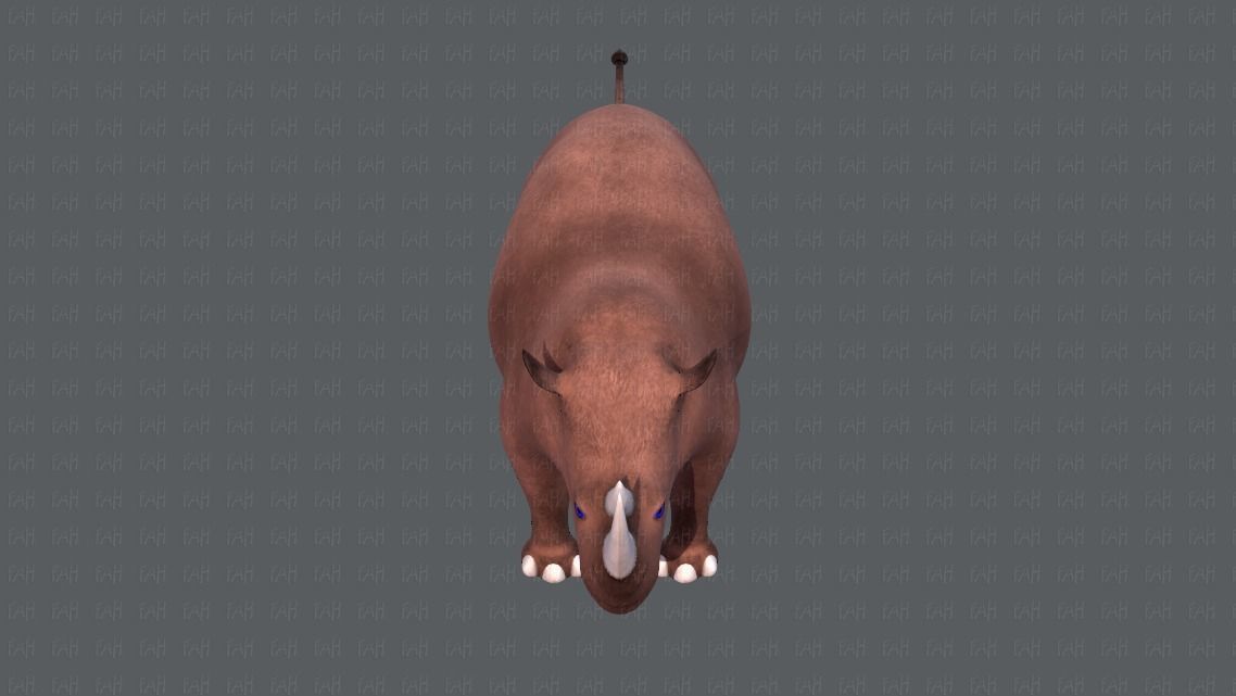 Rhino V01 Low-poly 3D model_17