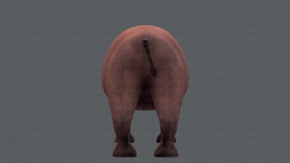 Rhino V01 Low-poly 3D model_5