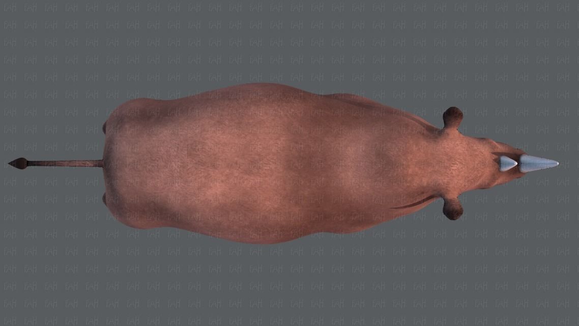 Rhino V01 Low-poly 3D model_37