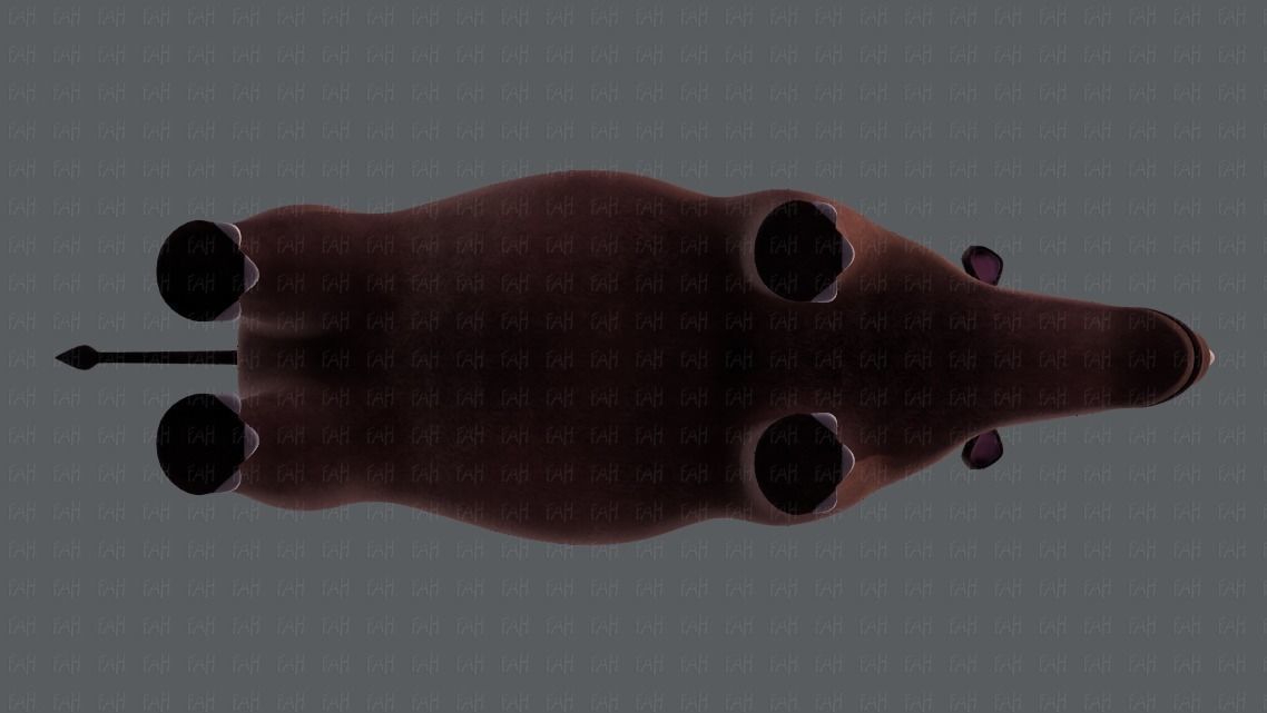 Rhino V01 Low-poly 3D model_39