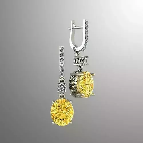Earrings 56
