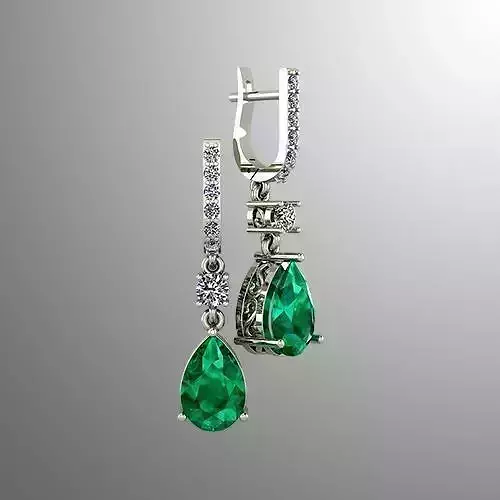 Earrings 57