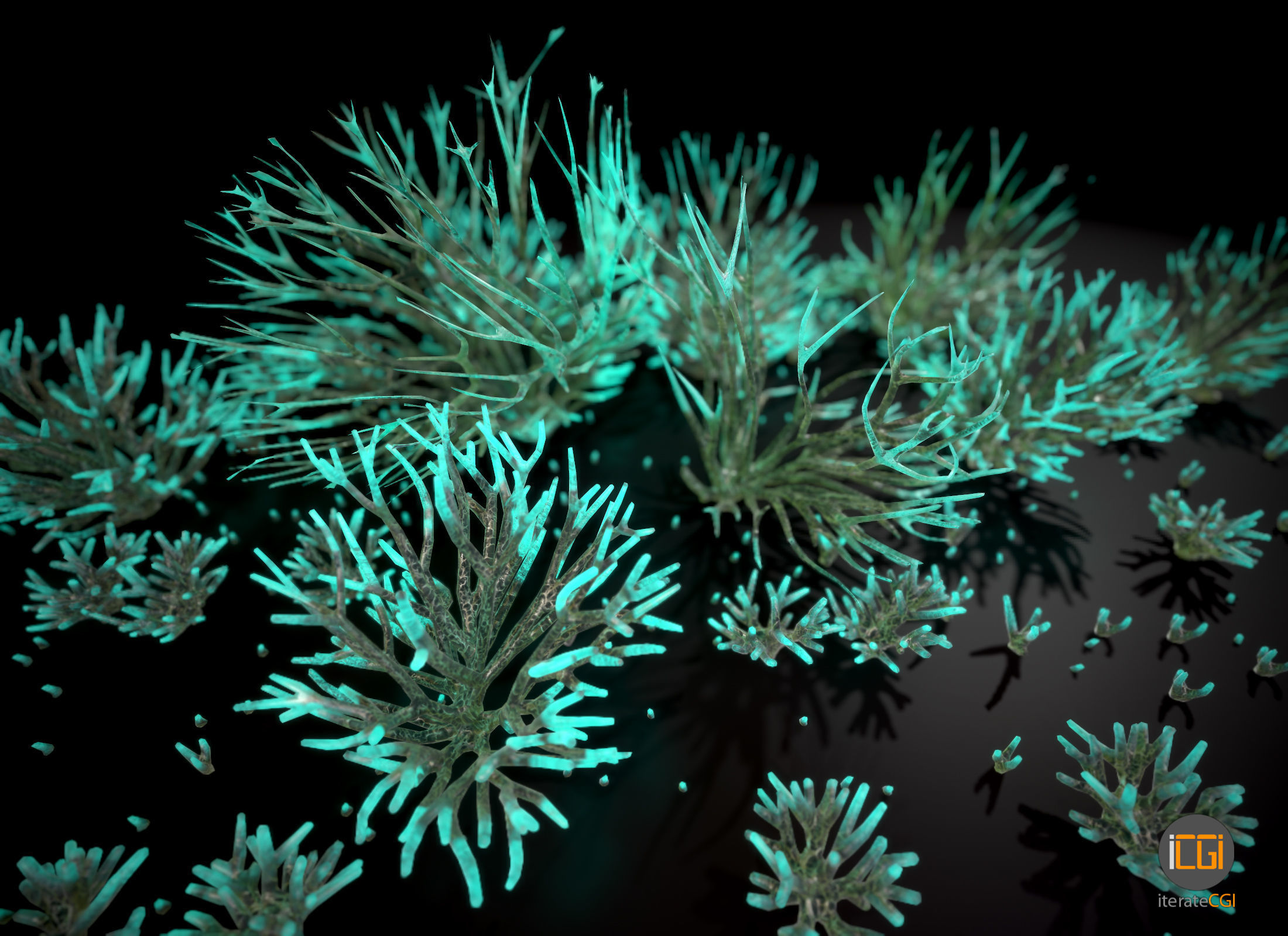 Alien Plant Fungus Type1 Low-poly 3D model_13