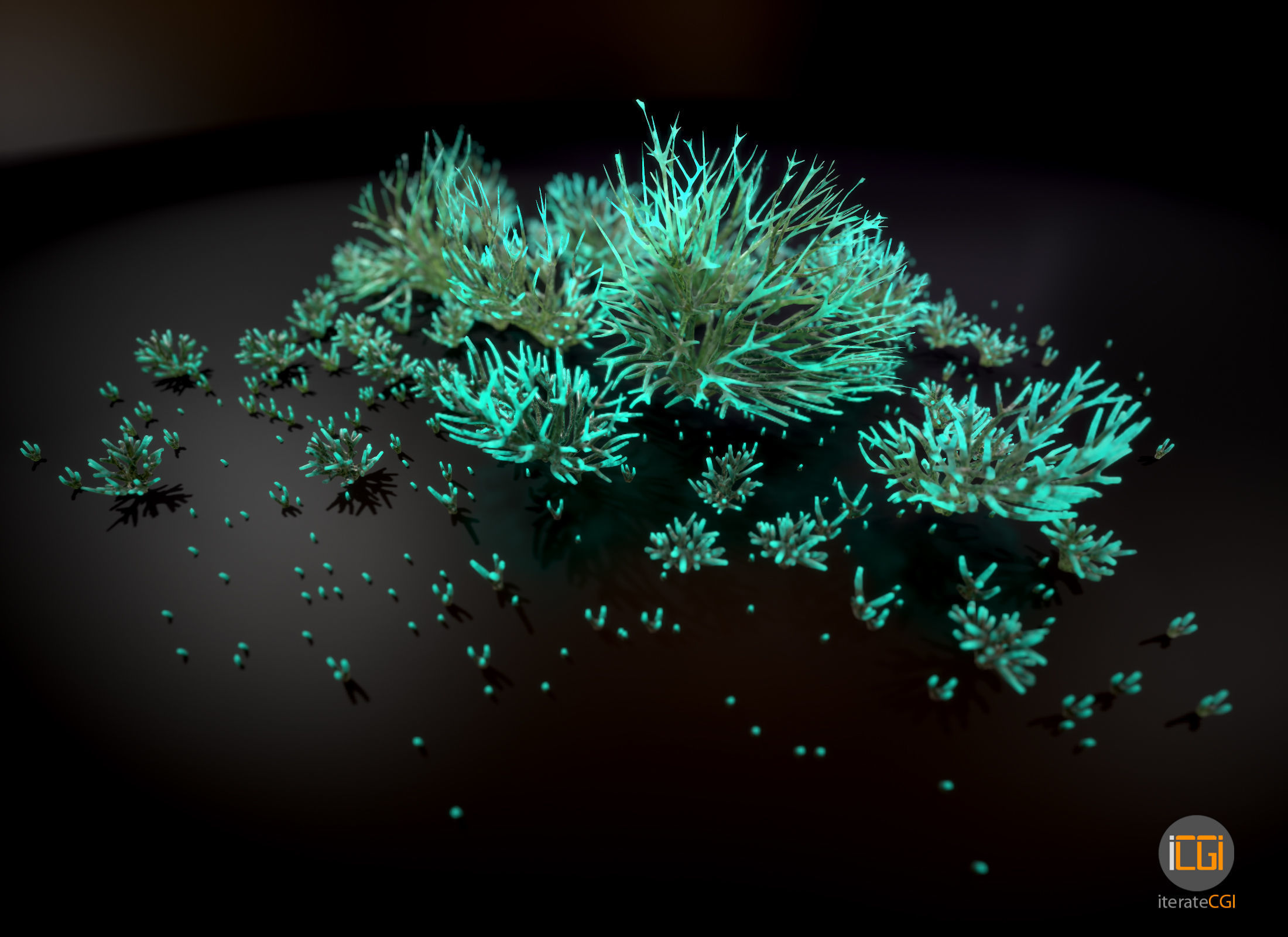 Alien Plant Fungus Type1 Low-poly 3D model_12