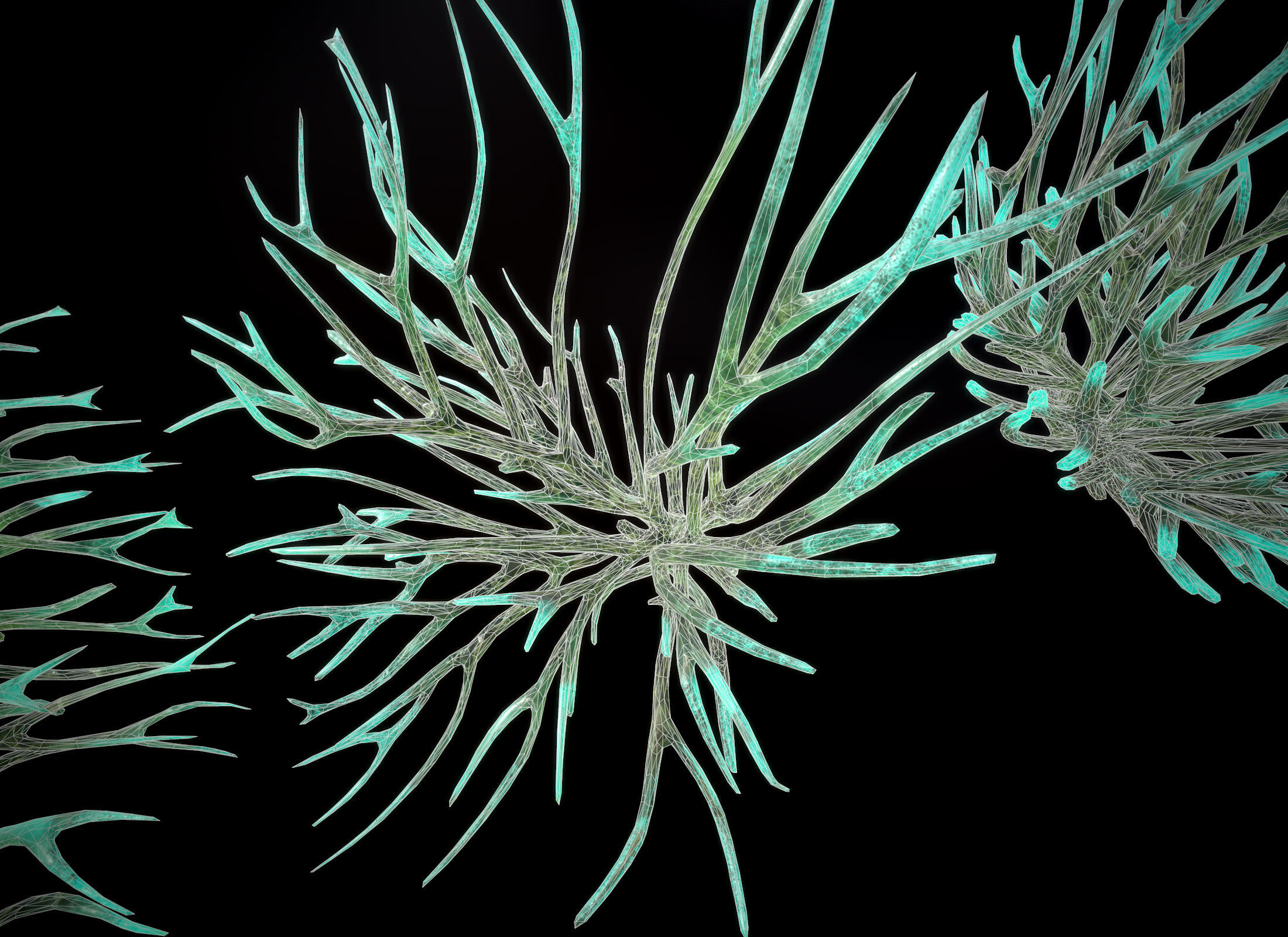 Alien Plant Fungus Type1 Low-poly 3D model_24