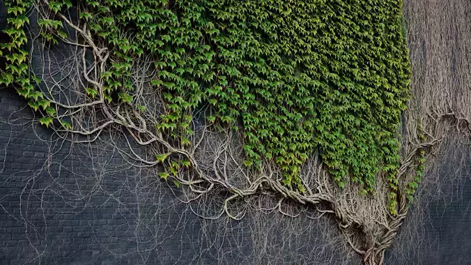 ARCHICG PLANTS IvyWalls vol 1 Model 01