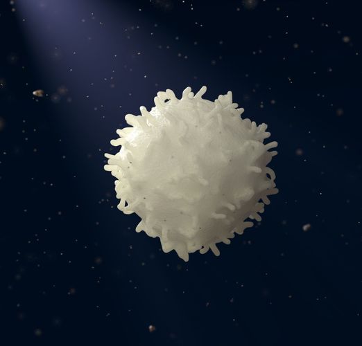 White Blood Cell 3D model