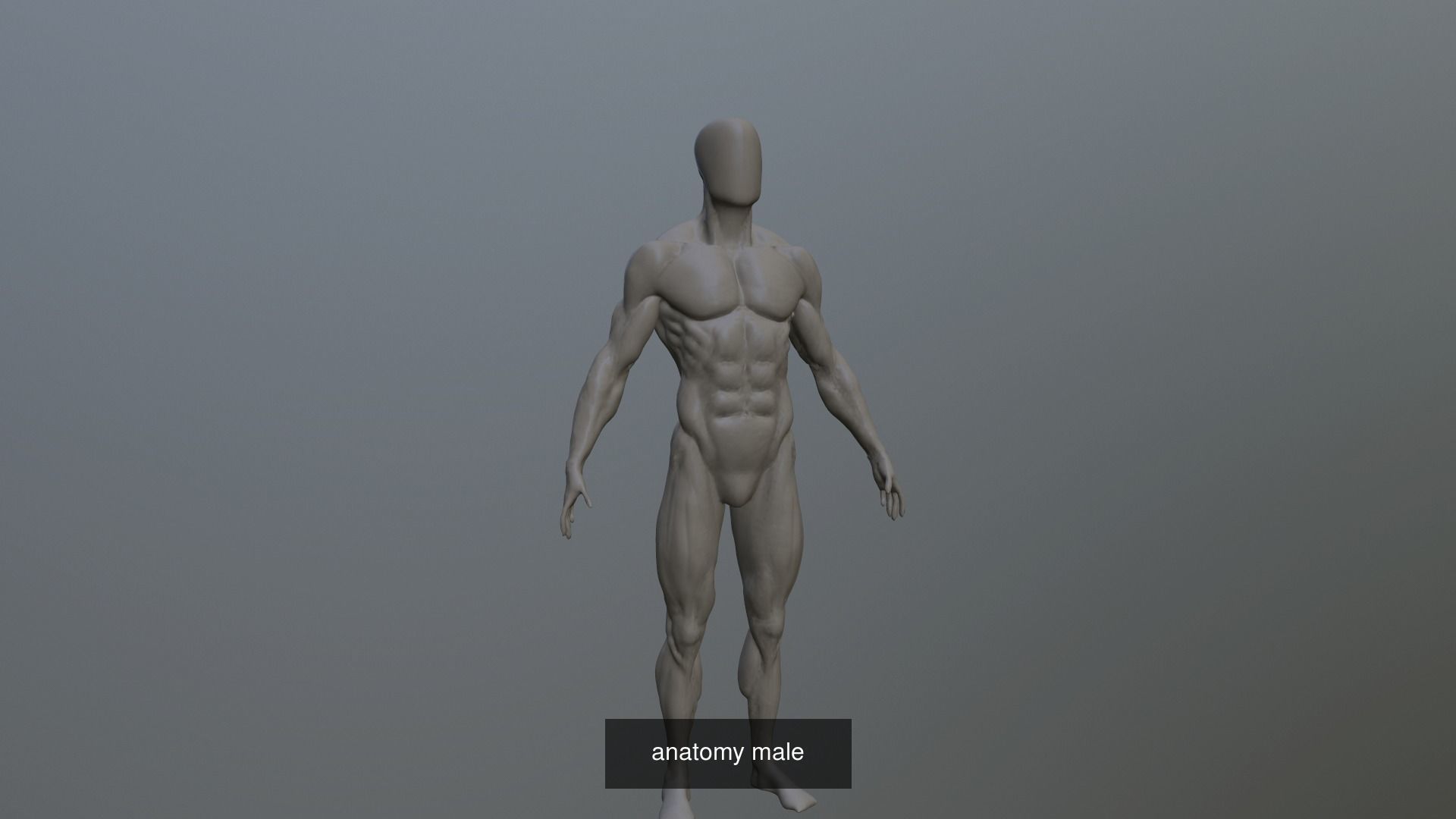 anatomy collection human body _4