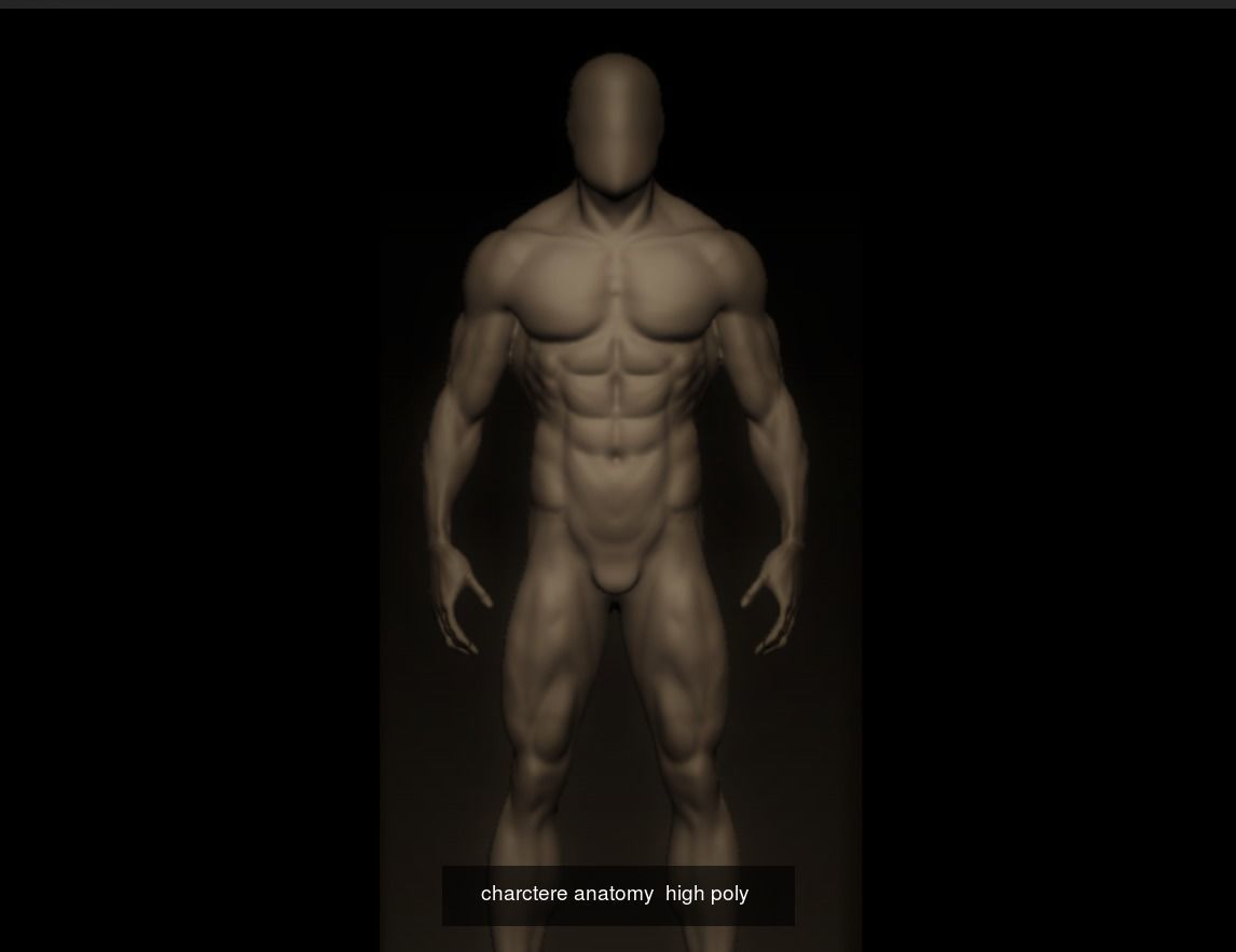 anatomy collection human body _5