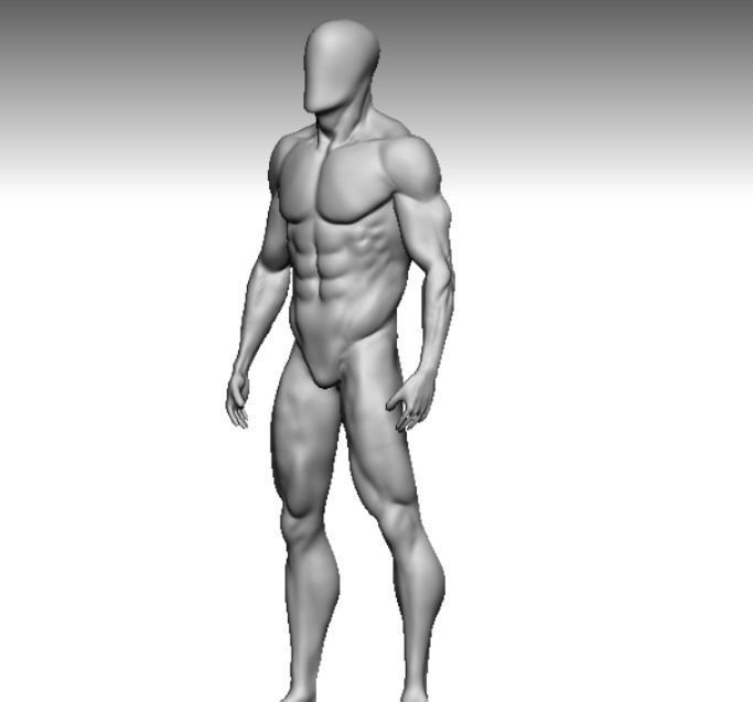 anatomy collection human body _7
