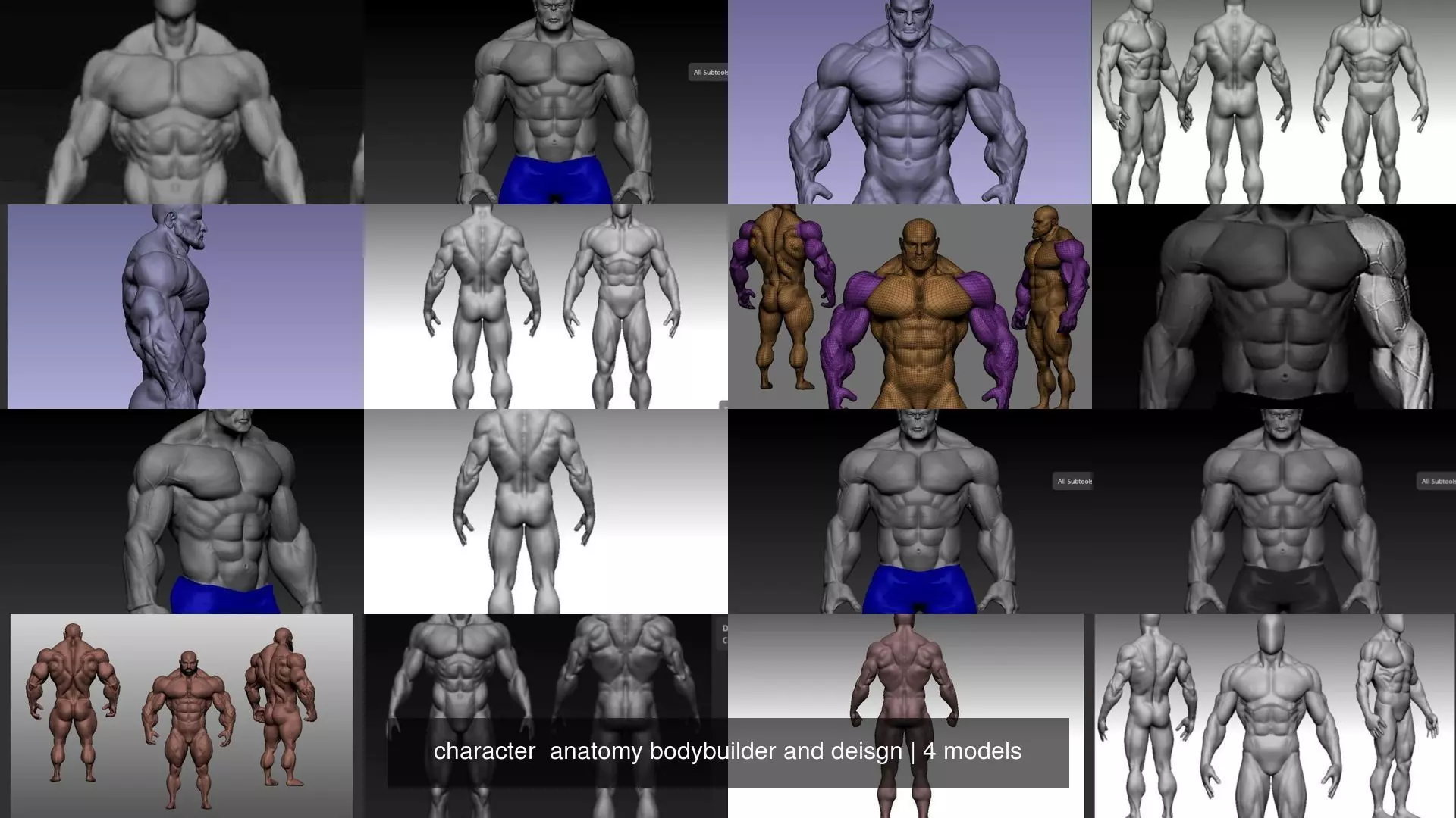 character anatomy bodybuilder and deisgn 3D Model Collection_0