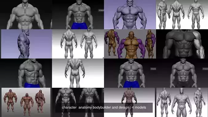 character  anatomy bodybuilder and deisgn 3D Model Collection