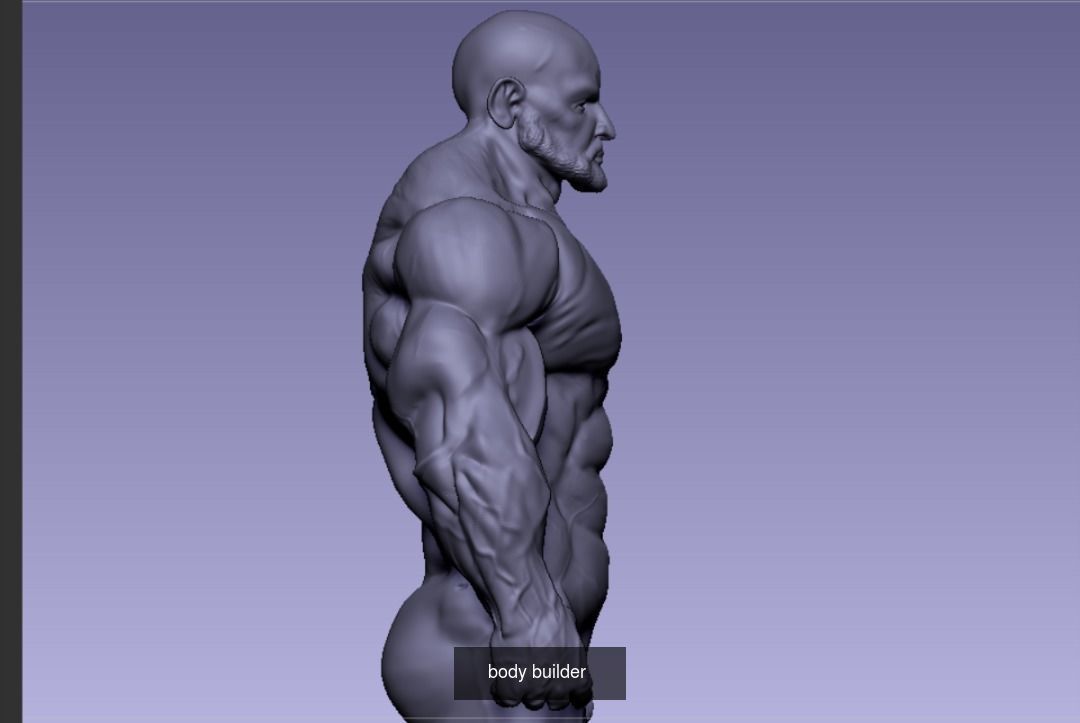 character anatomy bodybuilder and deisgn 3D Model Collection_9