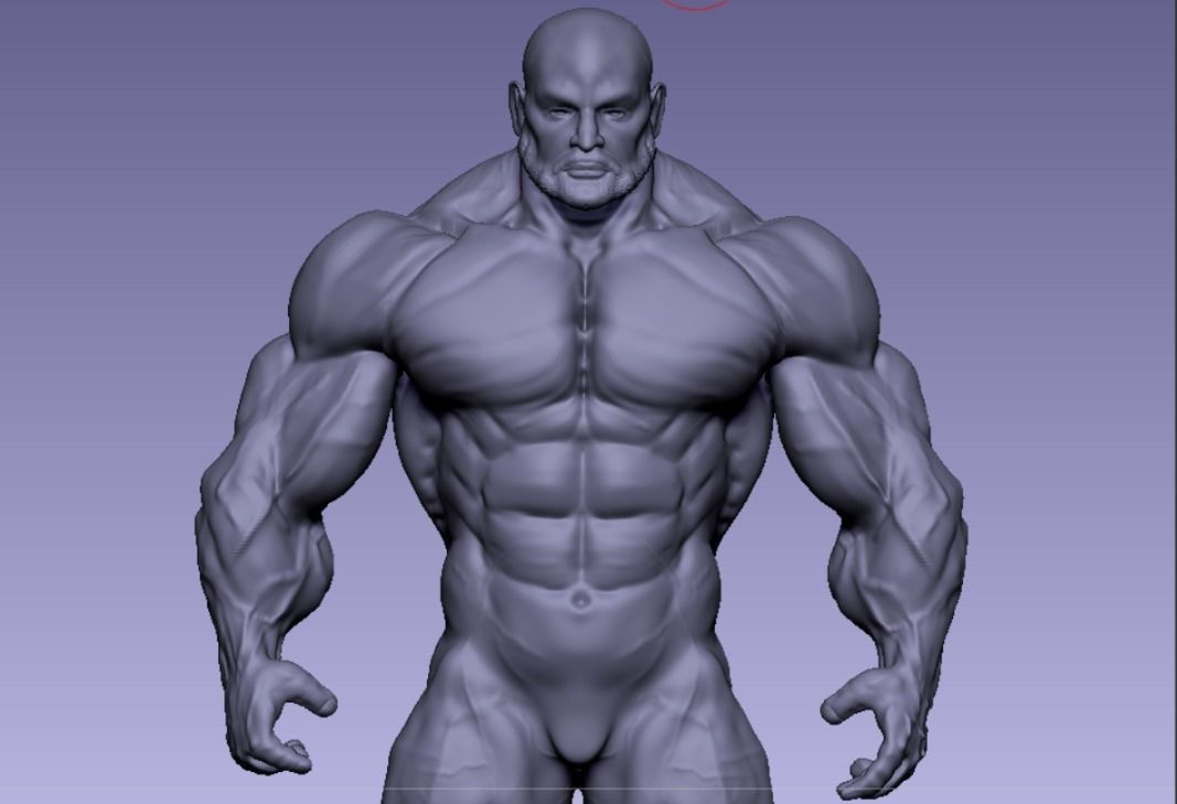 character anatomy bodybuilder and deisgn 3D Model Collection_4