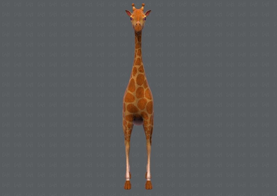 Giraffe V01 Low-poly 3D model_1
