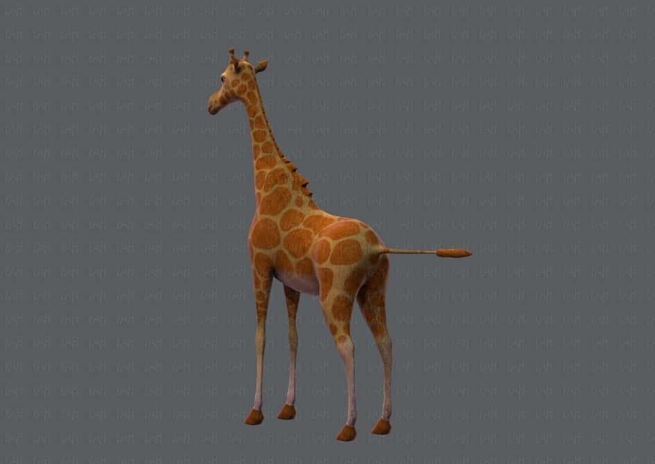 Giraffe V01 Low-poly 3D model_6