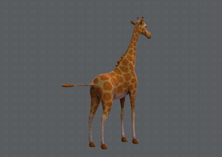 Giraffe V01 Low-poly 3D model_4