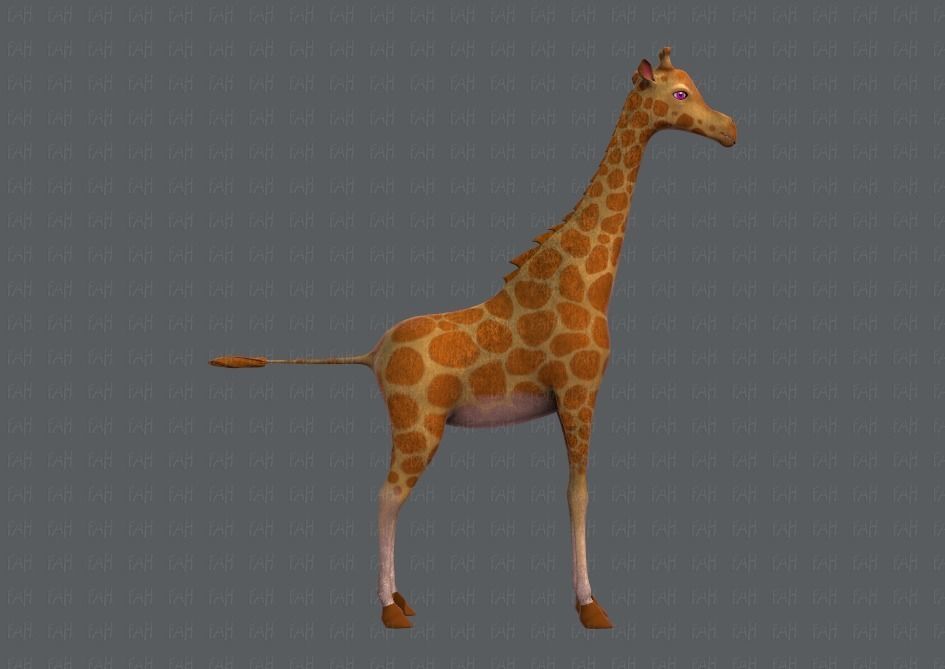 Giraffe V01 Low-poly 3D model_3