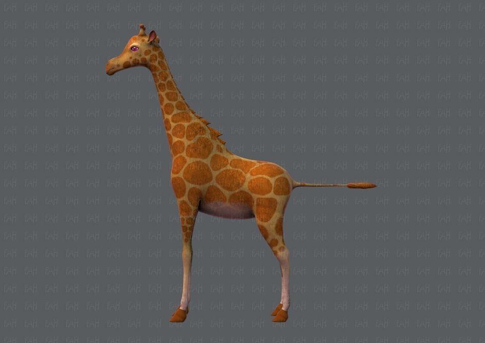 Giraffe V01 Low-poly 3D model_7