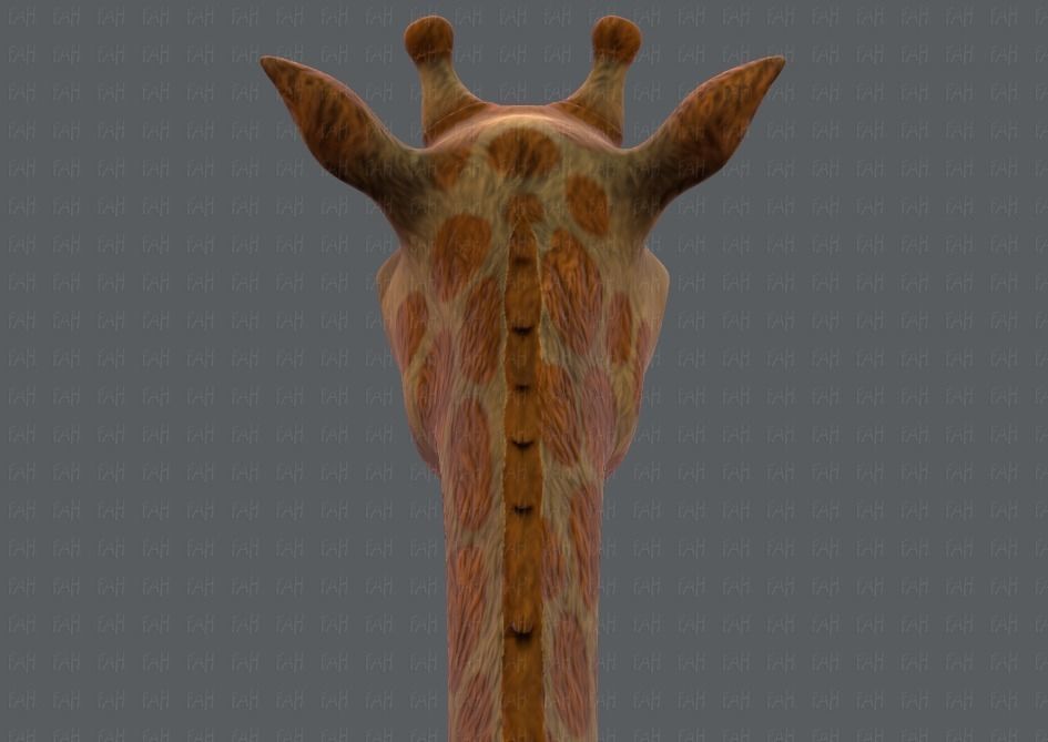 Giraffe V01 Low-poly 3D model_21