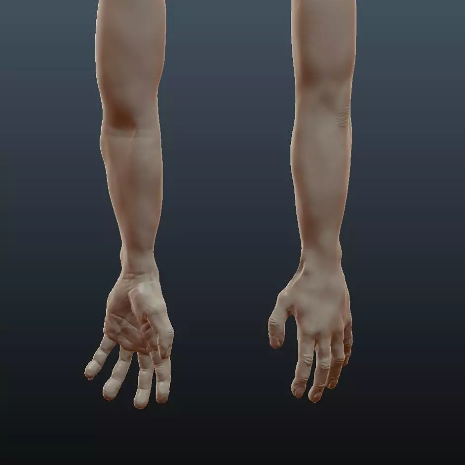 Male Arm Sculpt Free 3D model_0