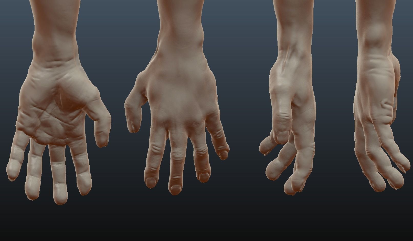 Male Arm Sculpt Free 3D model_2