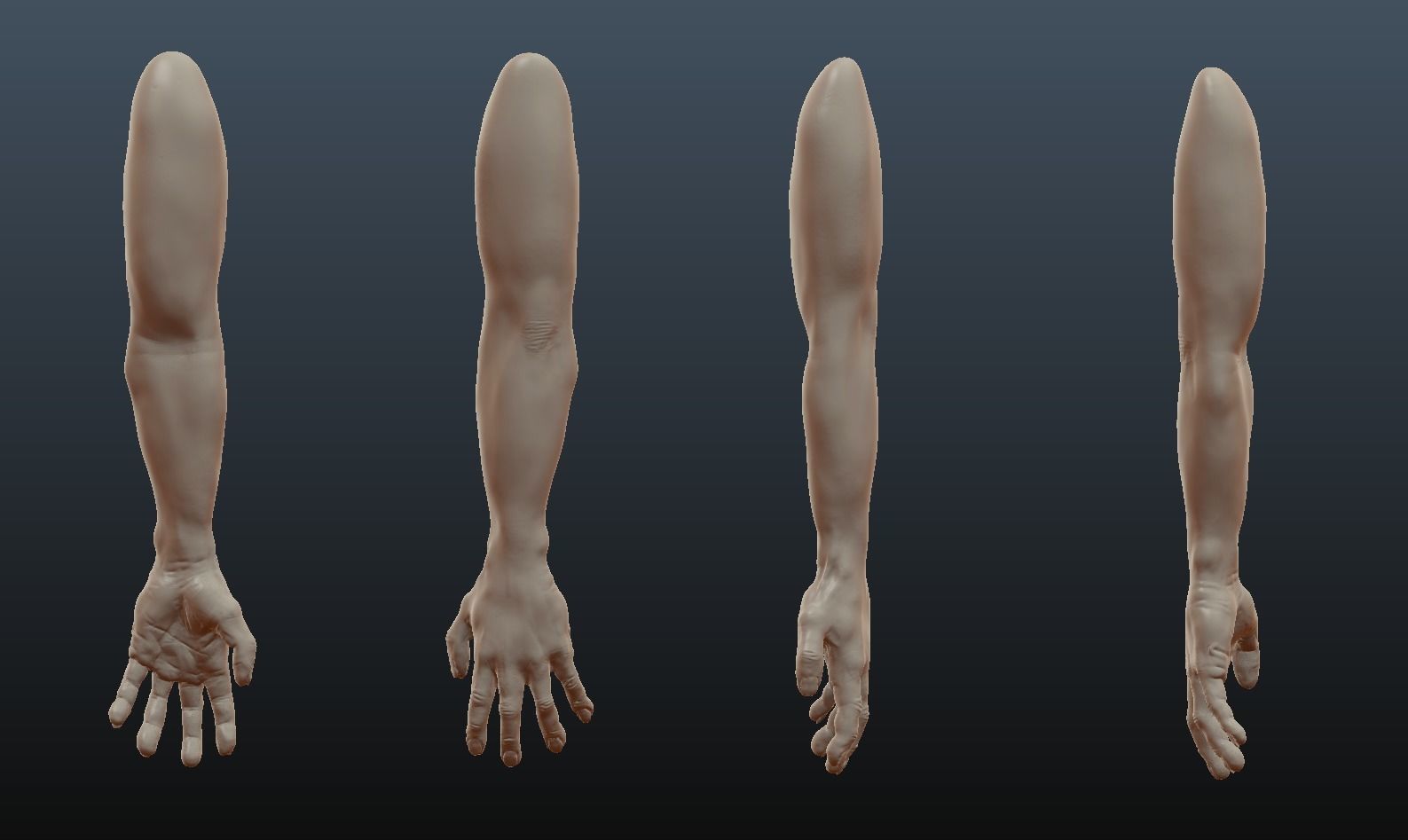 Male Arm Sculpt Free 3D model_1