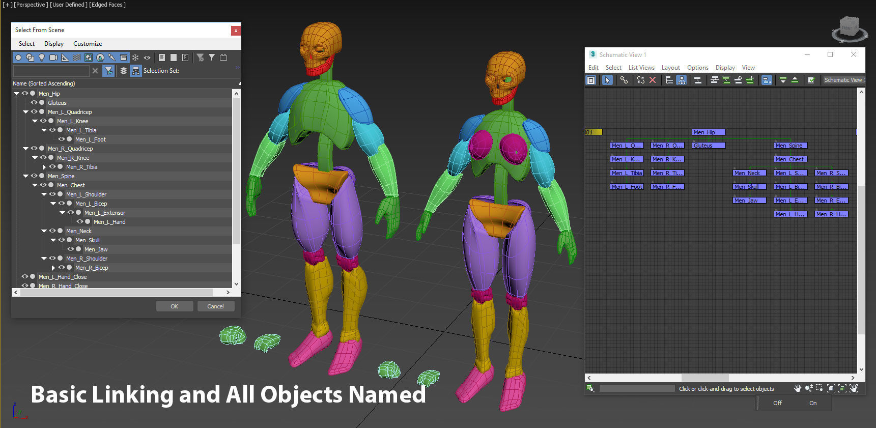 Anatomy 3D Model Reference For Artist 3D model_7