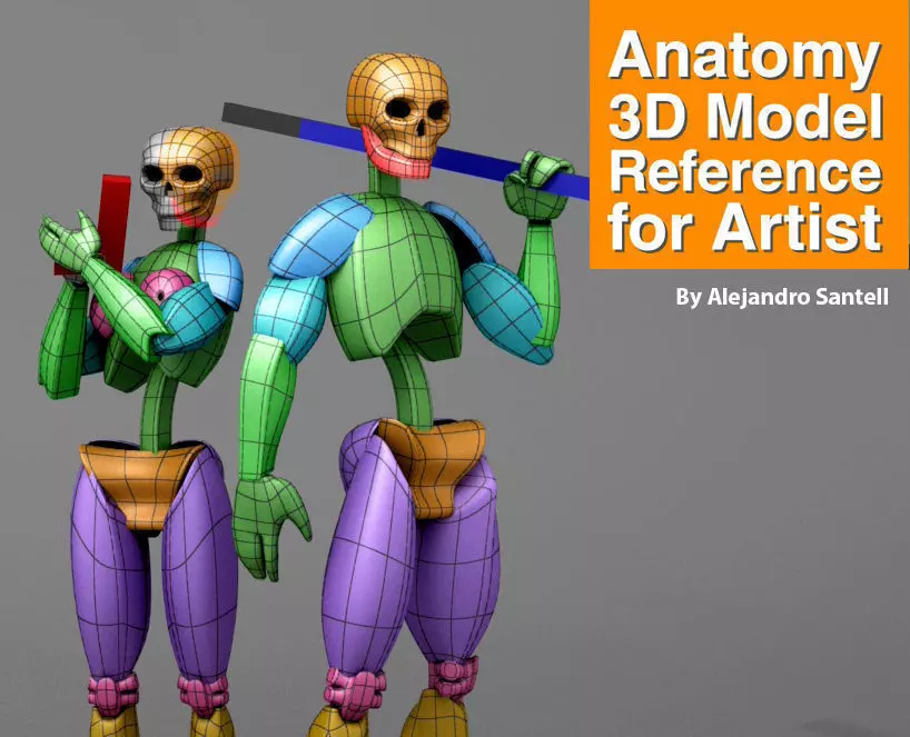 Anatomy 3D Model Reference For Artist 3D model_0