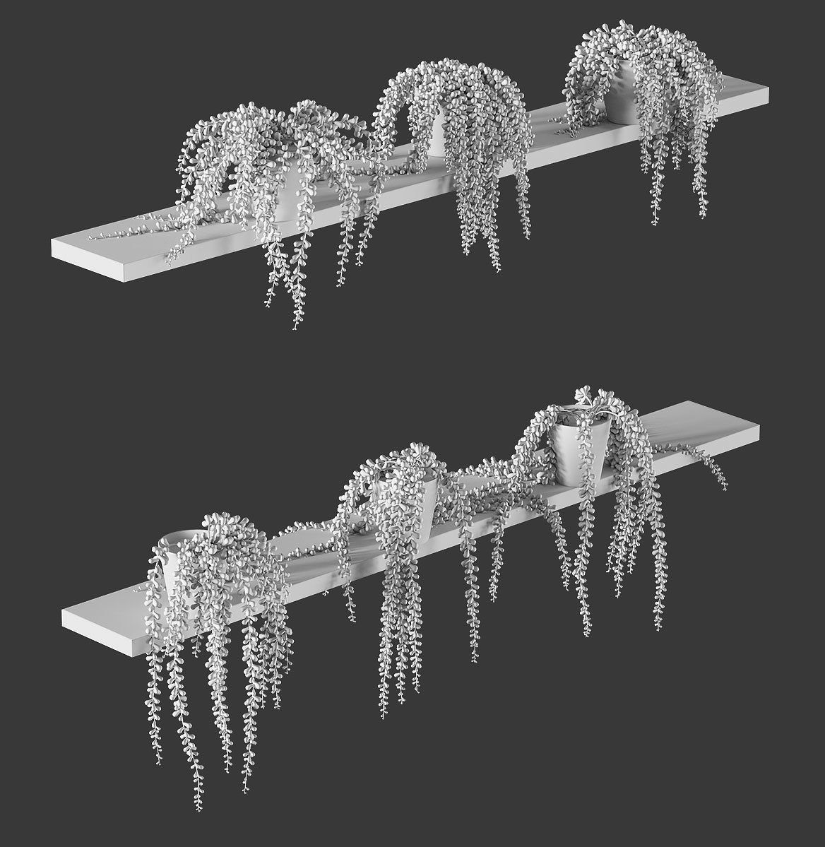 Hanging succulents in pots on shelves 3D model_5