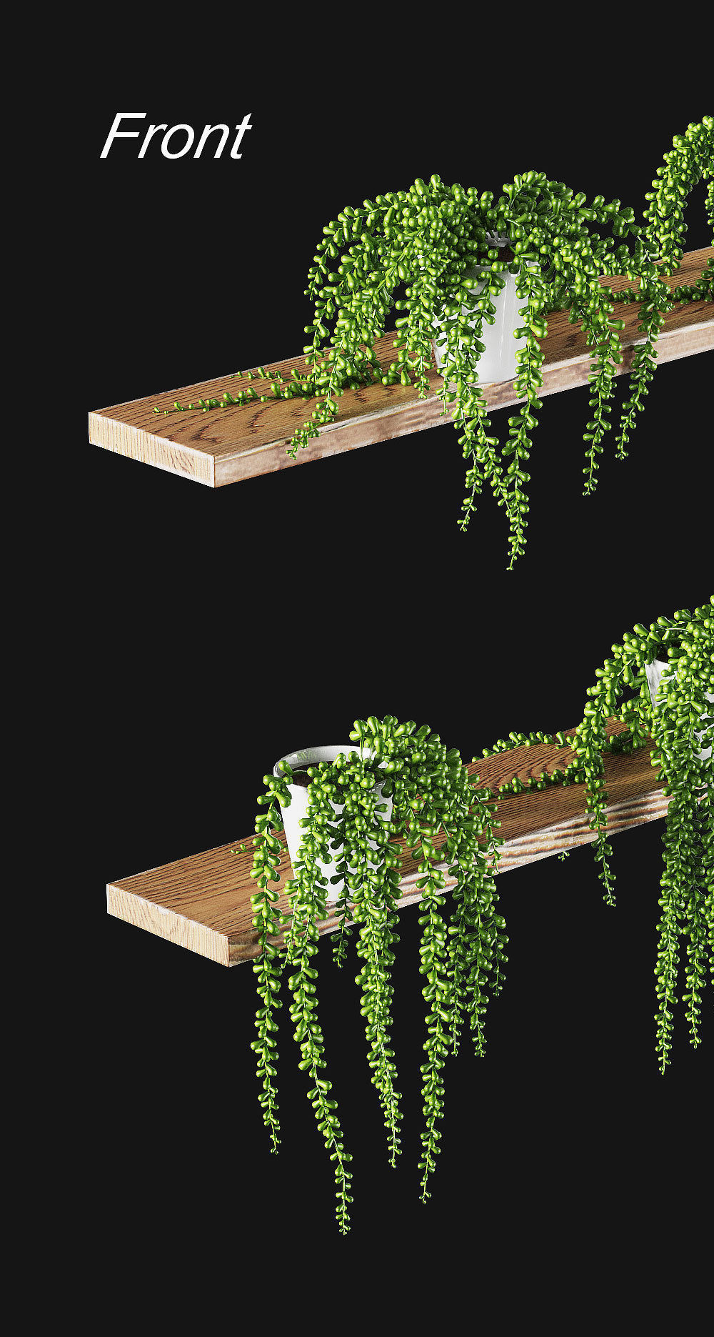 Hanging succulents in pots on shelves 3D model_3
