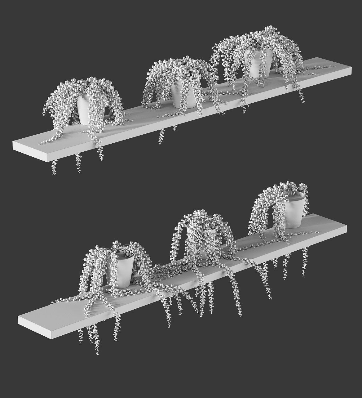 Hanging succulents in pots on shelves 3D model_6