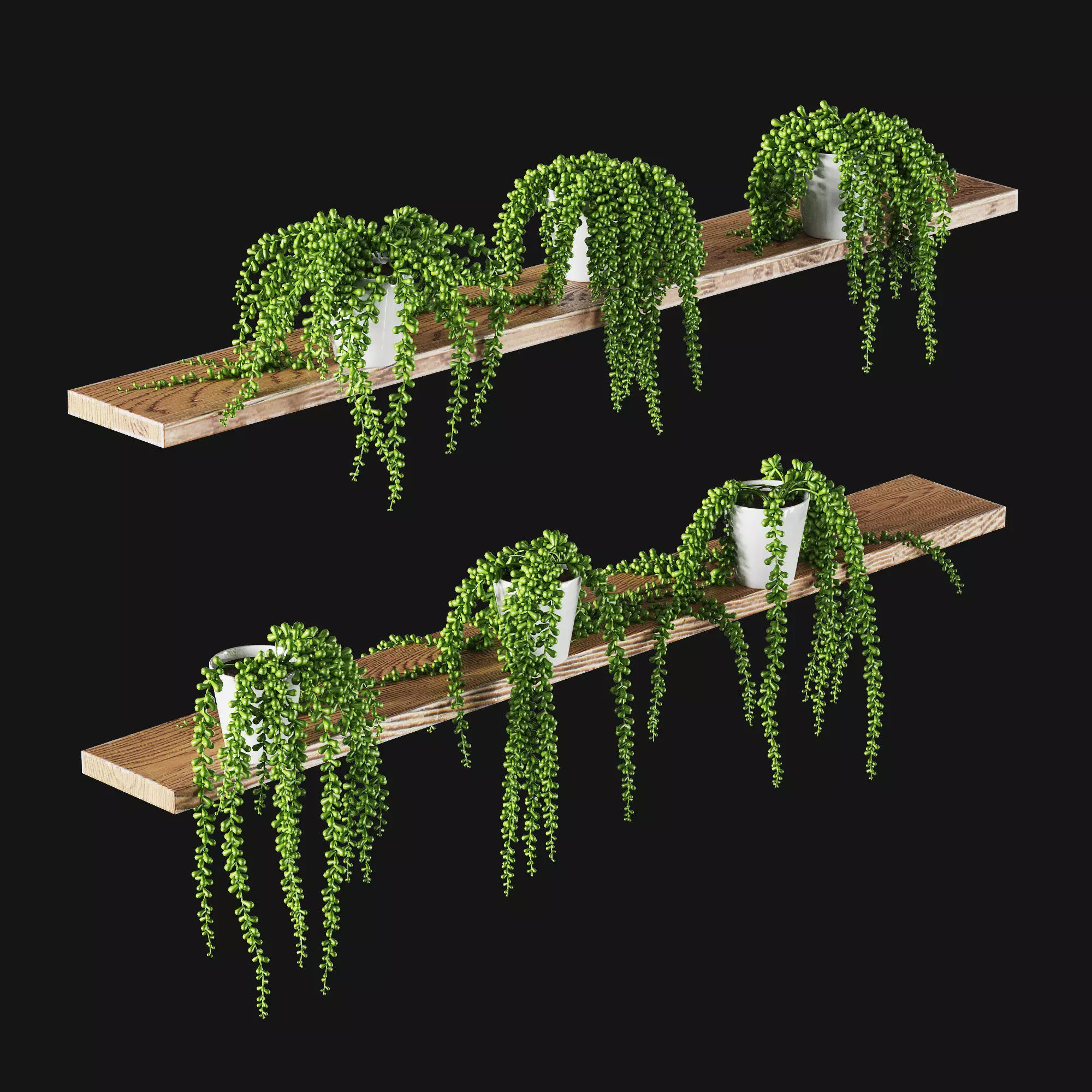 Hanging succulents in pots on shelves 3D model_0